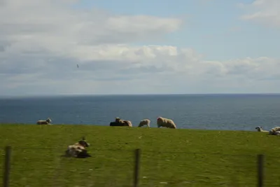 DSC_7258 (Large).JPG